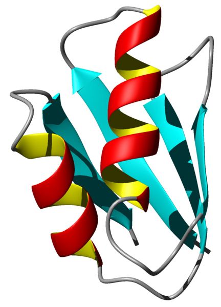 File:Fig3-InCellStructure.jpg