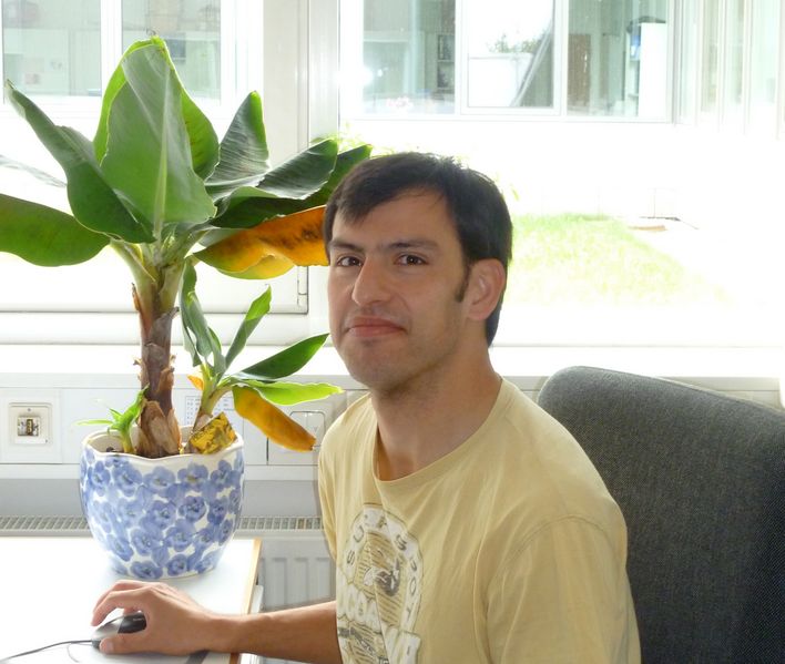 File:Sina Kazemi.jpg